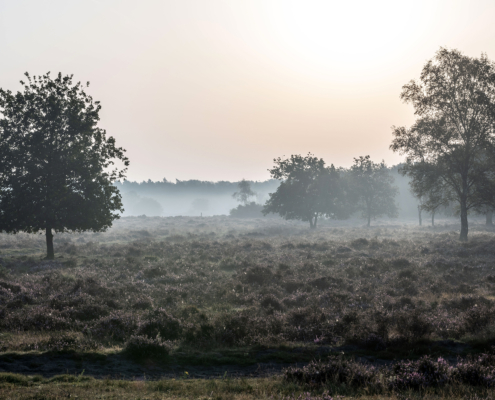 Bospark fotogalerij10