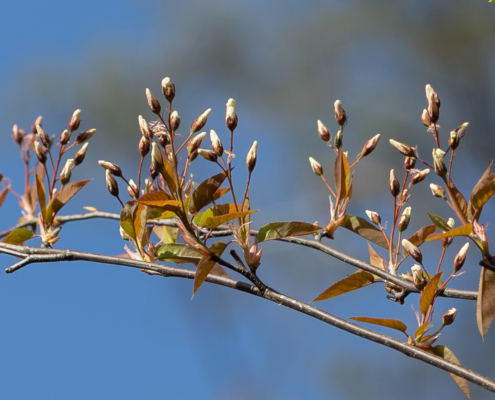 Bospark fotogalerij14