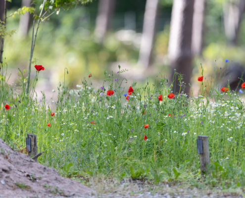 Bospark fotogalerij15