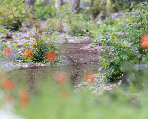Bospark fotogalerij17