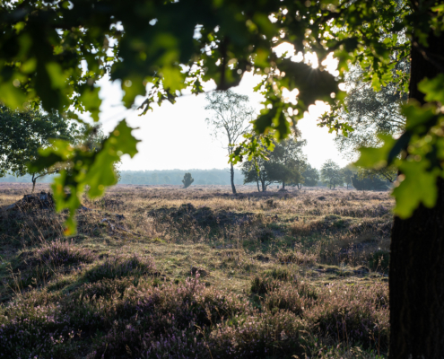 Bospark fotogalerij2