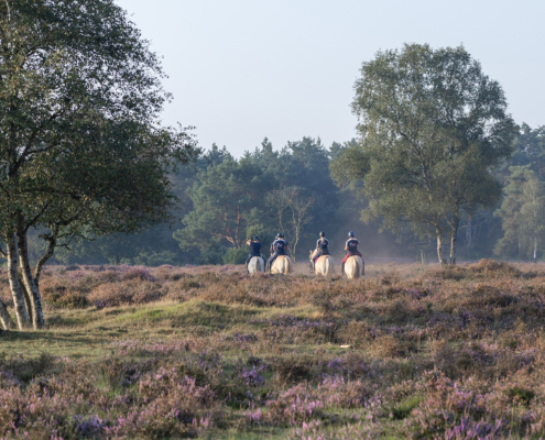 Bospark fotogalerij20