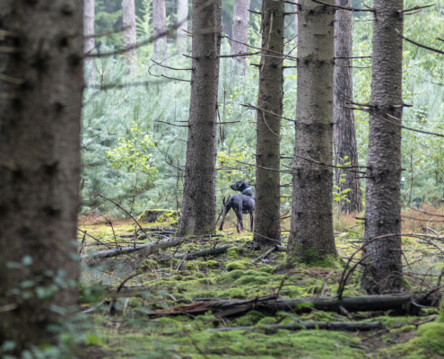 Bospark fotogalerij21