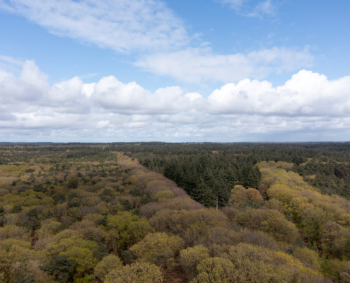 Bospark fotogalerij23