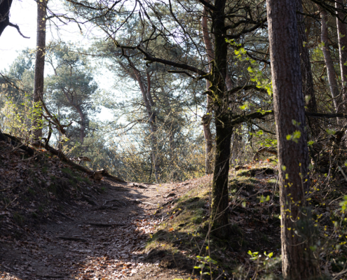 Bospark fotogalerij3
