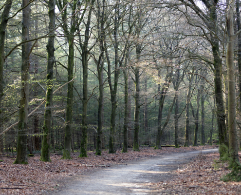 Bospark fotogalerij5