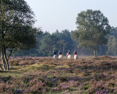 Bospark fotogalerij8